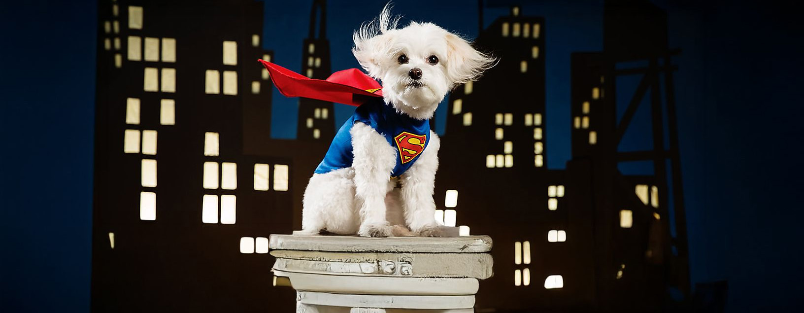 Party City -Party City 2