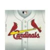 St. Louis Cardinals Lunch Napkins 36ct 2 St. Louis Cardinals Lunch Napkins 36ct -Party City 313232