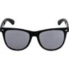 Black Classic Sunglasses 1 Black Classic Sunglasses -Party City 393352