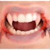 Custom Designer Dracula Fangs -Party City 393513