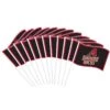 Arizona Diamondbacks Mini Flags 12ct -Party City 471968