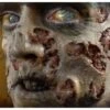 Zombie Rot Wound Prosthetics 4ct- Tinsley Transfers -Party City 592377