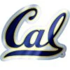 Cal Bears Decal -Party City 827321