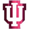 Indiana Hoosiers Decal -Party City 827331