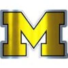 Michigan Wolverines Decal -Party City 827342