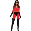 Adult Mrs. Incredible Deluxe Costume - The Incredibles -Party City P590851