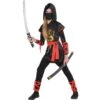 Girls Dragon Ninja Costume -Party City P686946