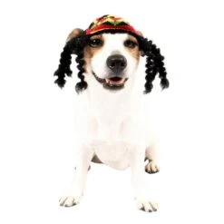 Rasta Dog Costume