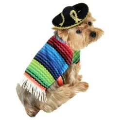 Amigo Dog Costume