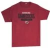 South Carolina Gamecocks T-Shirt -Party City P841102