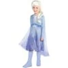 AMSCAN Child Act 2 Elsa Costume - Frozen 2 -Party City P842812