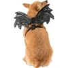 Black Sparkle Bat Wings Dog Harness -Party City P844188