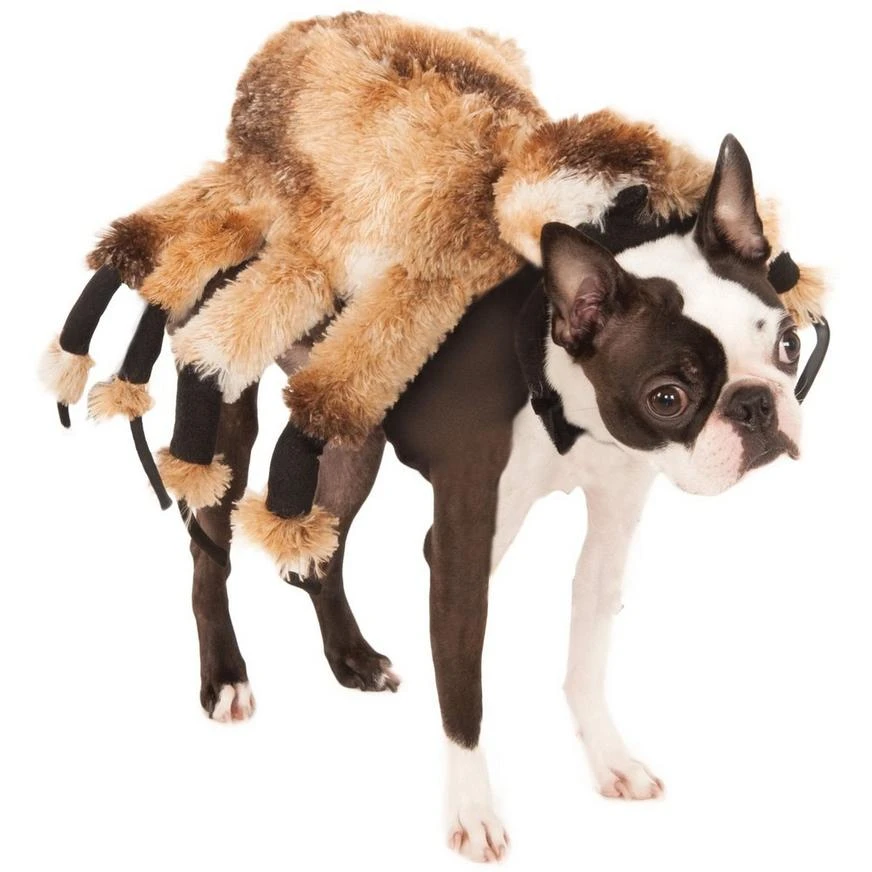 Giant Spider Dog Costume 3 Giant Spider Dog Costume