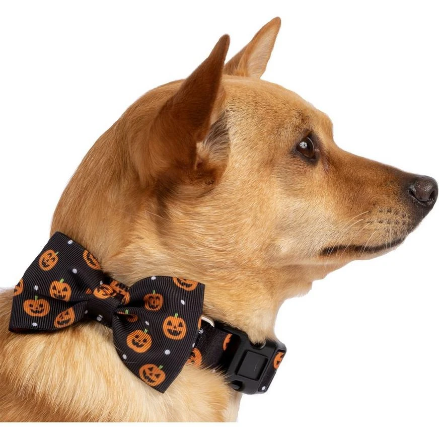 Halloween Pumpkin Bow Tie Dog Collar 3 Halloween Pumpkin Bow Tie Dog Collar