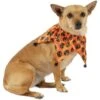 Halloween Pumpkin Jester Collar For Dogs -Party City P923017