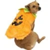 Fuzzy Halloween Pumpkin Costume For Dogs -Party City P923045
