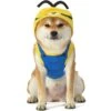 Stuart Minion Costume For Dogs - Minions -Party City P926946