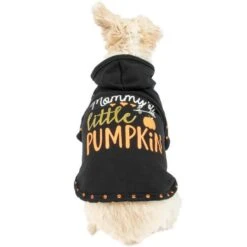 Mommy's Little Pumpkin Dog Hoodie